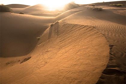 019年六月初一出生的双胞胎女孩该如何起名，五行属什么"