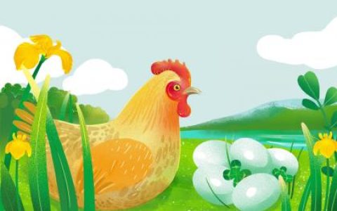 晚上11点出生的属鸡男孩宜用什么字取名字合适