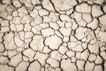 019年4月24号出生的五行缺土女宝宝要怎么起名字"