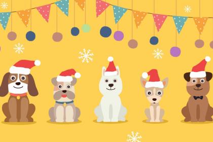 018年姓刘女孩子名字起名大全，刘姓的起源是哪？"