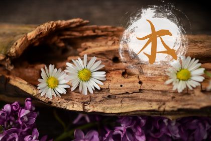 019年8月1号卯时出生的女孩推荐名字有什么，五行属什么"