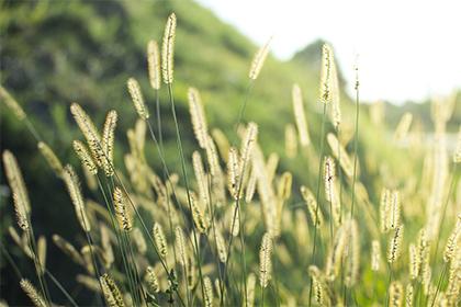 019年6月16号出生的女宝宝五行缺木要怎么起名字"