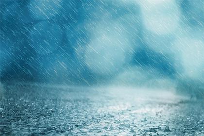 019年12月6号出生的男宝宝五行缺木取名注意事项"