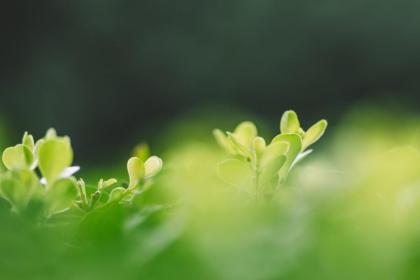 018狗年寒露节气出生的宝宝取名乳名大全"