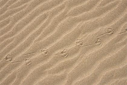 019年9月27号出生的双胞胎男孩起什么名字比较好，五行属什么"