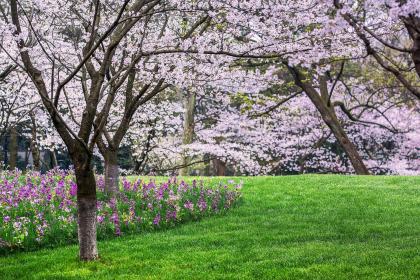 019年4月11号出生的女宝宝五行缺金要怎么样起名字"