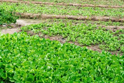 019年5月22号出生的男宝宝五行缺水要如何起名字"