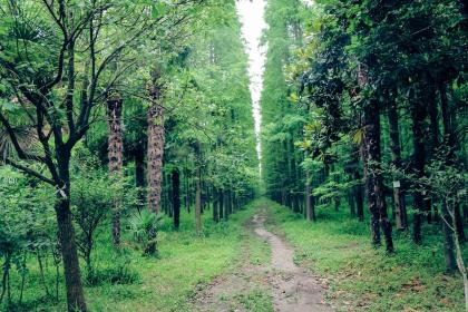 019年9月27号戌时出生的男孩如何起取个典雅的名字，五行属什么"