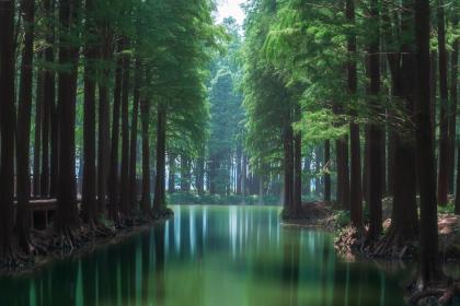 019年5月17号出生的女宝宝五行缺火应该起什么样的名字"