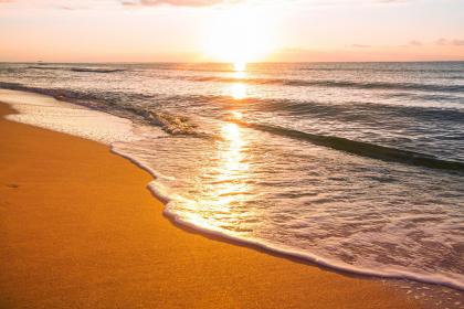 019猪年植树节出生男孩五行缺水怎么样起名字"