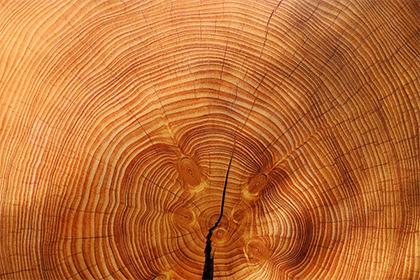 019年11月16号出生的双胞胎男孩怎么起名，五行属什么"