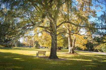 019年7月13号午时出生的男孩五行属什么"