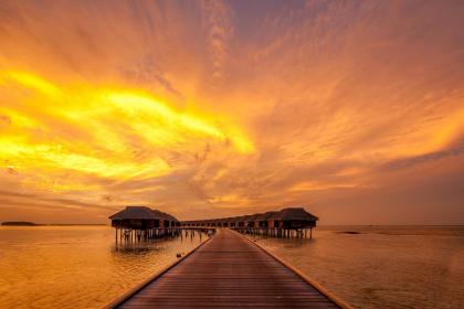 019年下元节女孩五行缺木新颖好听的名字"