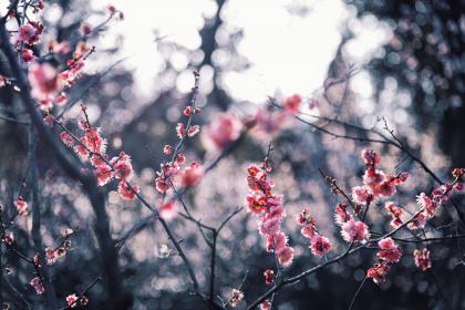 019年小雪出生萌萌的宝宝100分乳名小名"