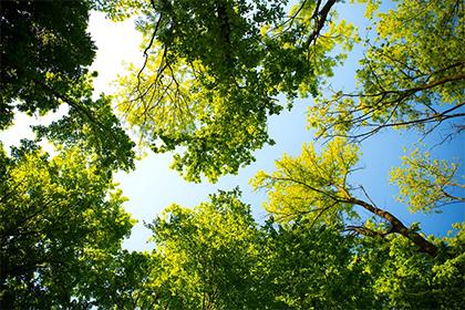 019年8月9号出生的双胞胎男孩起名方法，五行属什么"