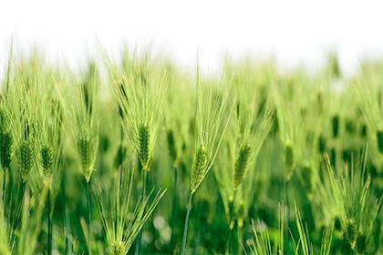 019年4月29的男宝宝五行缺金要怎么起名字"