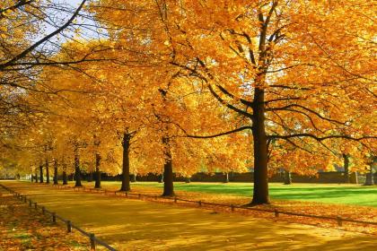 019年5月18号出生的女宝宝五行缺金要怎么起名字"