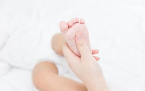 2018年姓姚的狗宝宝起名大全