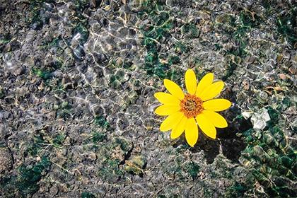 019年10月10号出生的男宝宝五行缺金如何取名好听"