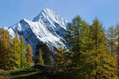 019年3月11号出生的男宝宝五行缺金要怎么起名字"