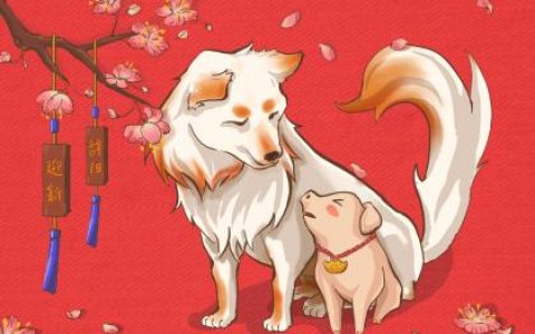 2019年8月18号酉时出生的男孩五行属什么
