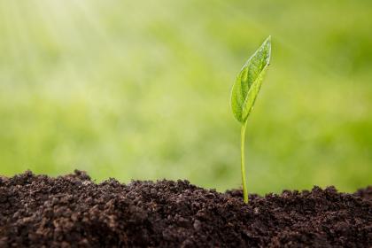 020年腊月二十九小除夕出生命好吗，五行缺木的女宝宝如何起名？"