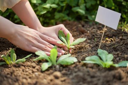 019年11月13号出生的男宝宝五行缺水怎么取名好"