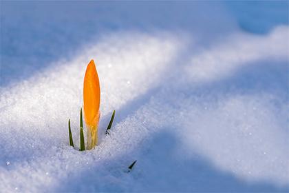 怎么给2019年7月11号卯时出生的女孩起名字，五行是什么？_华易网