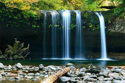 019年2月10日出生的男孩如何起名？五行缺什么？"