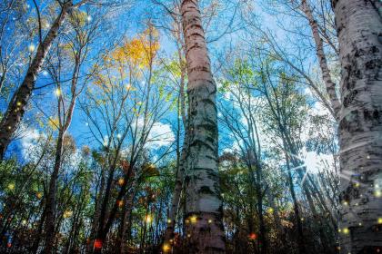 019年9月23号戌时出生的男孩如何起取个高尚的名字，五行属什么"