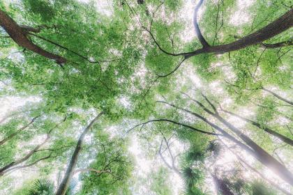 019年3月30号出生的男宝宝五行缺金要怎么起名字"