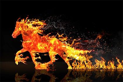 019年十一月十一出生的双胞胎女孩如何起名，五行属什么"