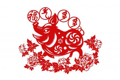 怎么给2019年11月15号寅时出生的男孩怎么起名字