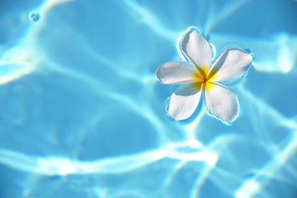 019年7月14号出生的女宝宝五行缺木要如何起名字"