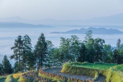 019年7月3号辛时出生的女孩起什么名字好，五行属什么？"