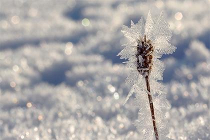 019年8月23号辰时出生的女孩如何起好名字，五行属什么"