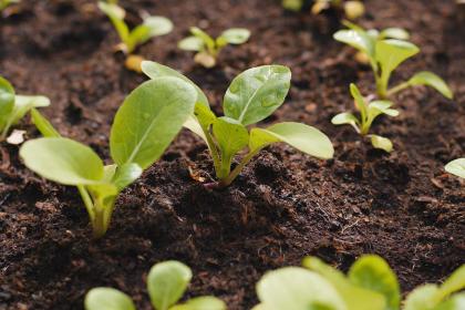 和季节和月份有关的名字