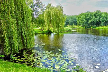 019年3月30号出生的双胞胎女孩起什么名字好，五行属什么？"