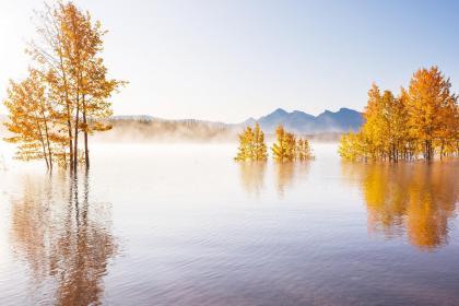 018年夏季生男宝宝五行起名,夏季生男孩属什么五行？"