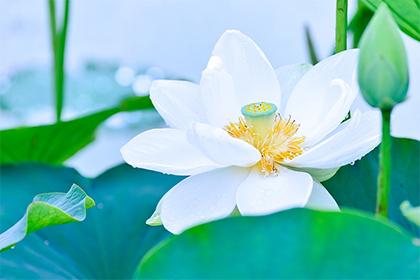 019年10月26号出生的男宝宝五行缺木如何取名"