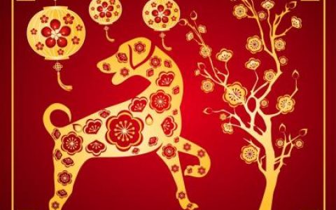 2019狗年芒种出生的宝宝好听可爱的乳名推荐