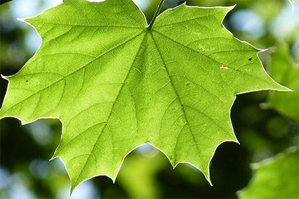 019年9月20号出生的男宝宝五行缺木怎么取名好"