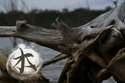 019年6月4号出生的女宝宝五行缺土要怎么起名字"