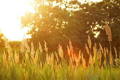 019年9月14号出生的男宝宝五行缺木如何取名"