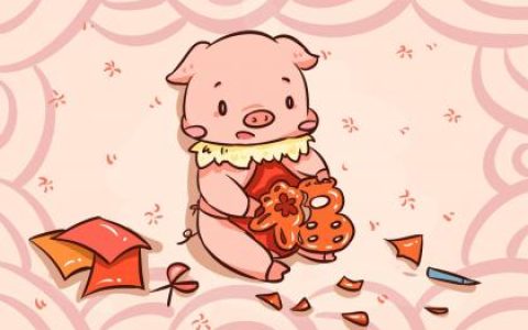 2019年7月6号卯时出生的男孩怎么起名字会受益终生