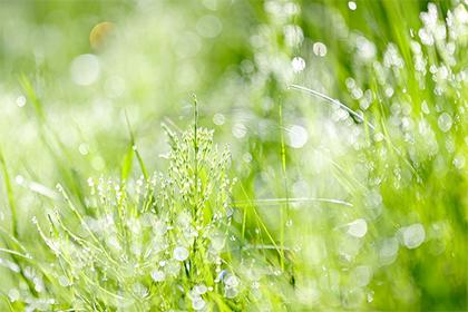 019年7月9号卯时出生的女孩怎样起名好，五行是什么？"