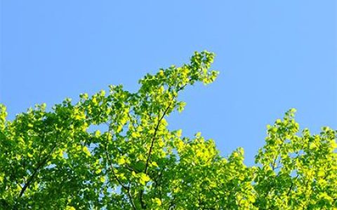 2019年十二月二十六出生的男孩怎么起名字，五行属什么