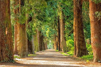 019年8月13号巳时出生的男孩五行属什么"