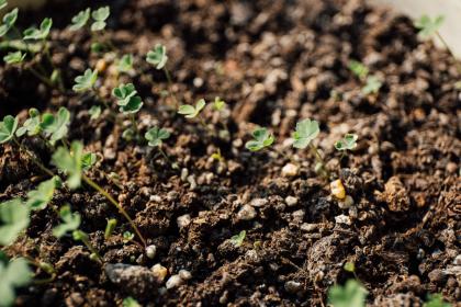 019年四月二十一出生的双胞胎女孩起名宜用什么字，五行属什么"