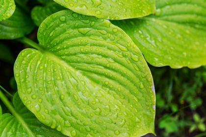 019年大雪节气出生女孩五行取名八字缺土女孩名字"